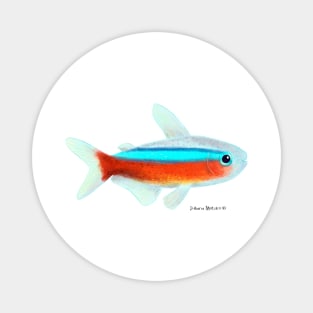 Cardinal Tetra Fish Magnet